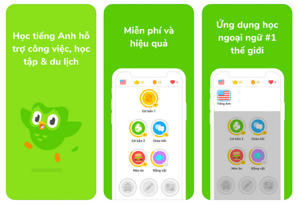 Ứng dụng Duolingo vừa học vừa chơi mà rất hiệu quả 