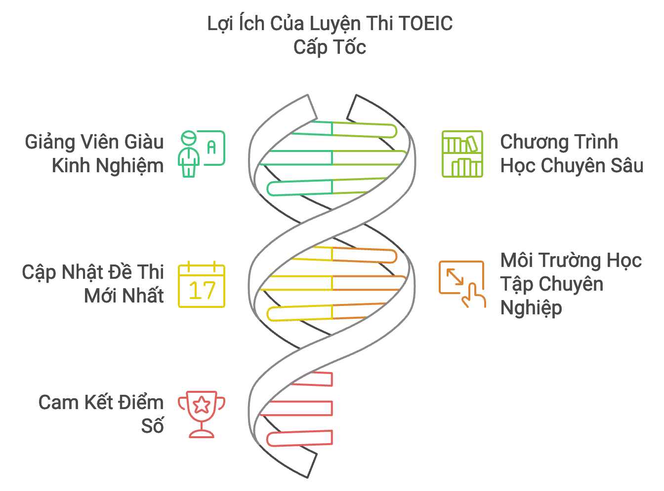 Lợi ích của luyện thi Toeic cấp tốc